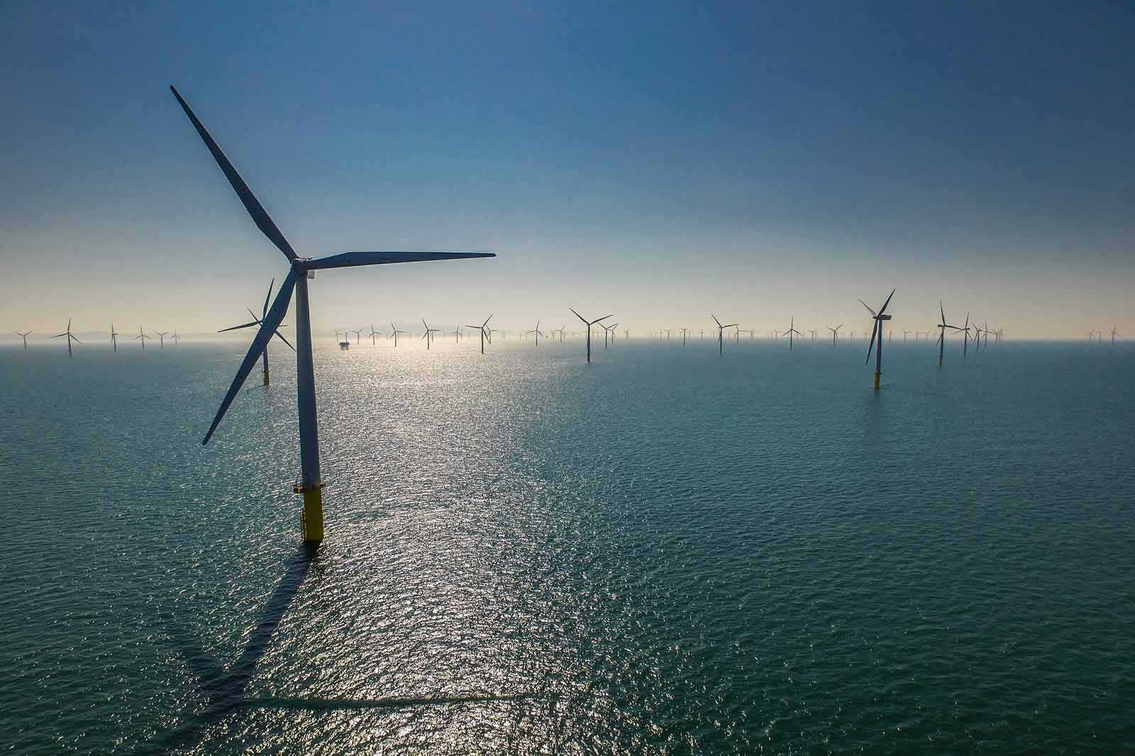 A panoramic view of several offshore wind turbines standing in calm waters under a clear blue sky.