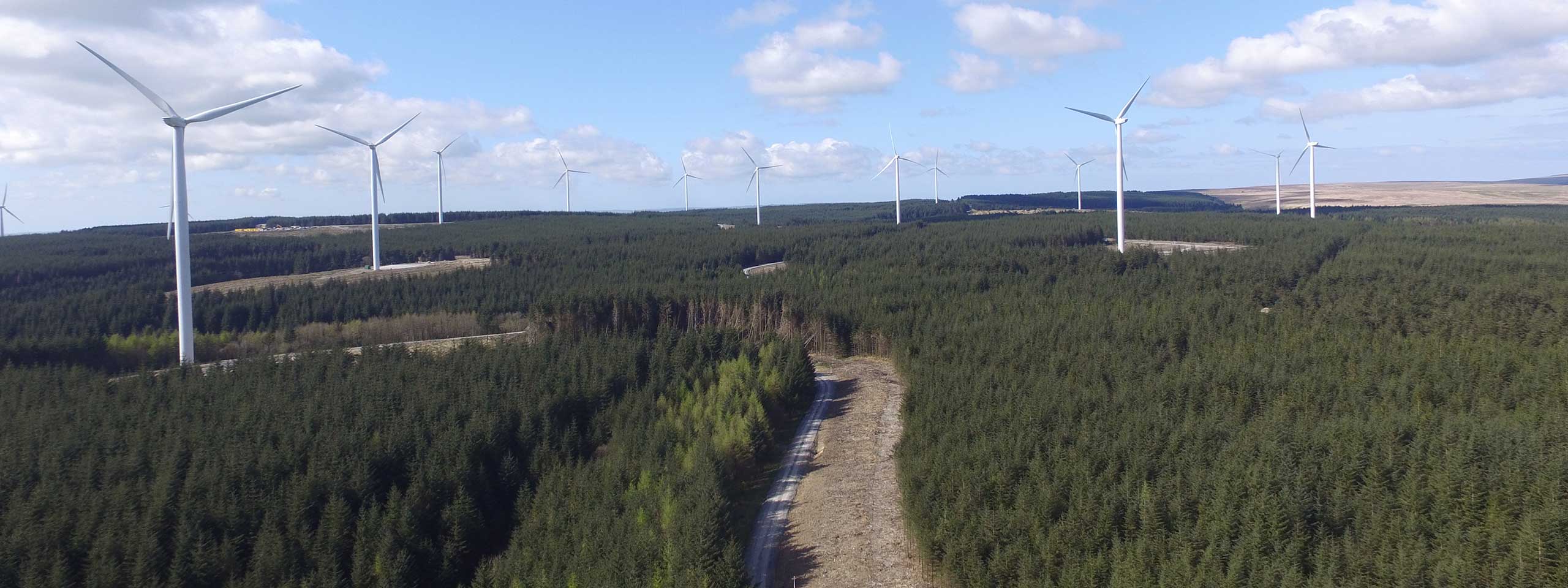 Aerial view of a wind farm surrounded by dense green forests under a blue sky with clouds.